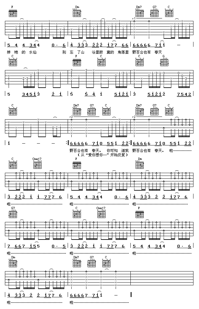 《野百合也有春天》吉他谱六线谱C调-罗大佑