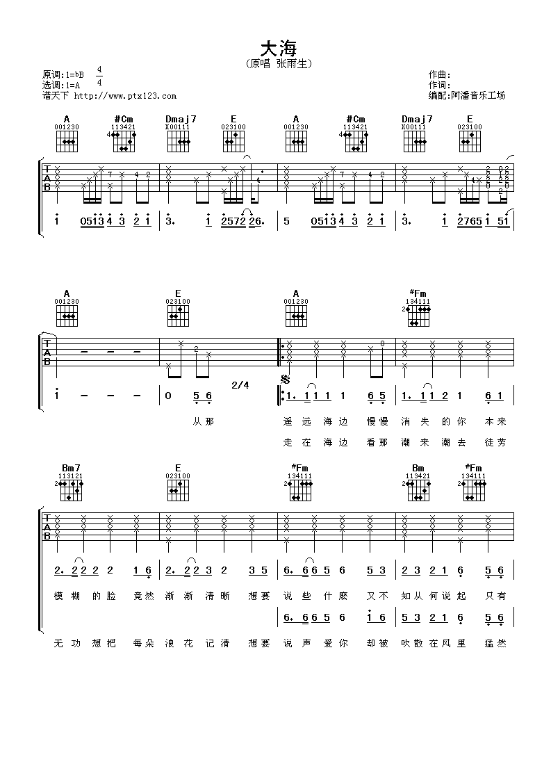 《大海》吉他谱六线谱_A调_张雨生