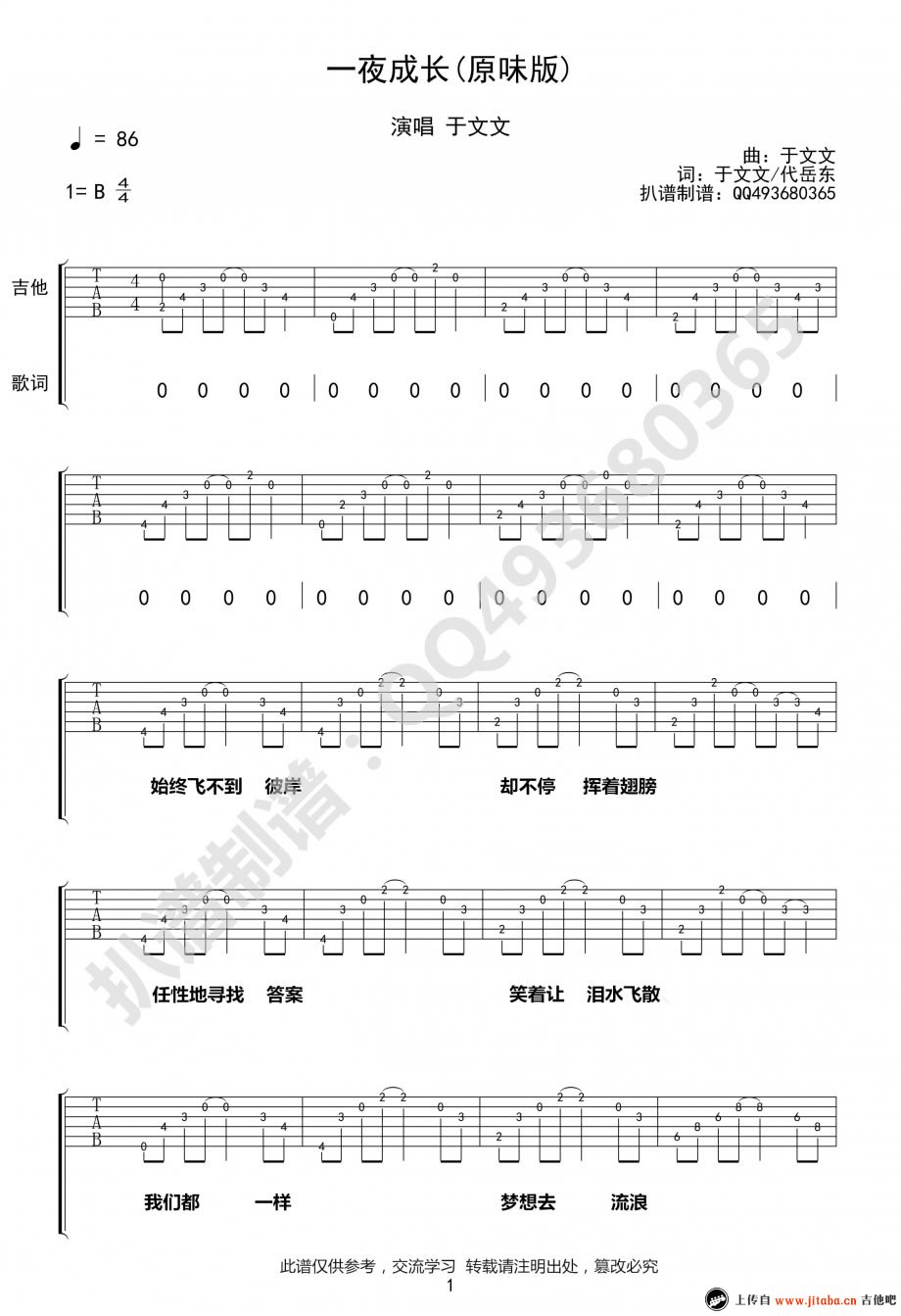 于文文 一夜长大吉他谱