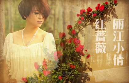 丽江小倩 红蔷薇吉他谱