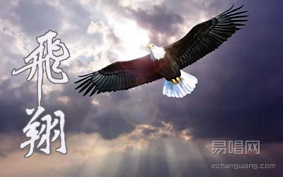 飞翔海先生吉他谱 民谣歌曲