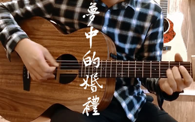 梦中的婚礼指弹吉他谱 演奏示范