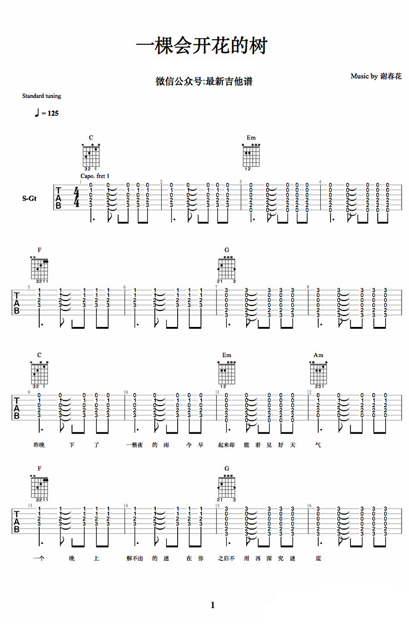 一棵会开花的树吉他谱