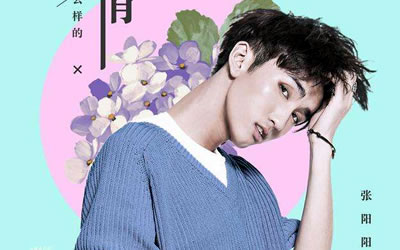 什么样的爱情张阳阳吉他谱 