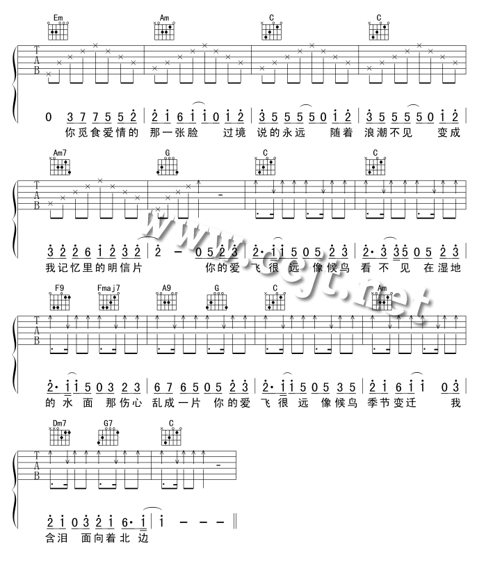 《候鸟》_高清吉他谱