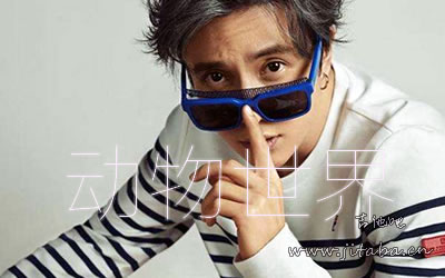 薛之谦《动物世界》吉他谱