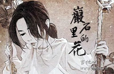 岩石里的花邓紫棋吉他谱 吉他吧