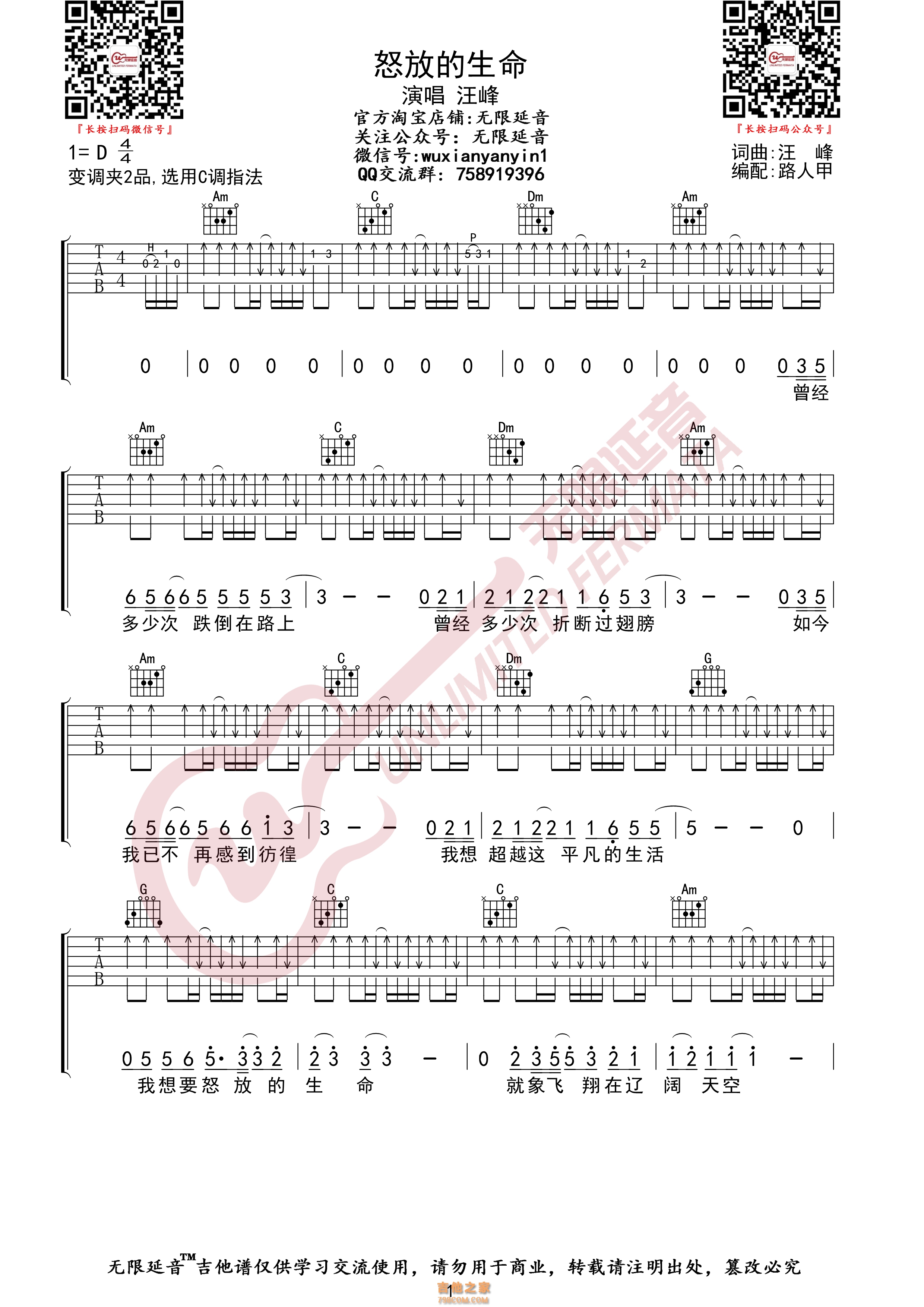 《怒放的生命》_高清吉他谱