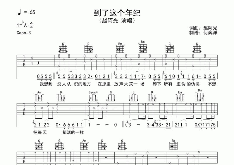 赵阿光《到了这个年纪》吉他谱六线谱G调