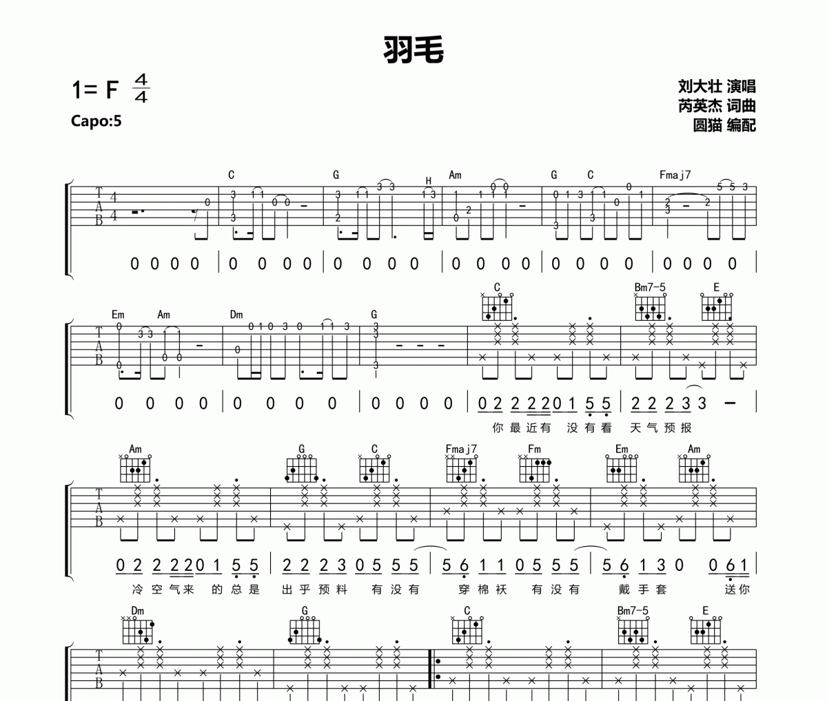 刘大壮《羽毛》吉他谱六线谱C调编配