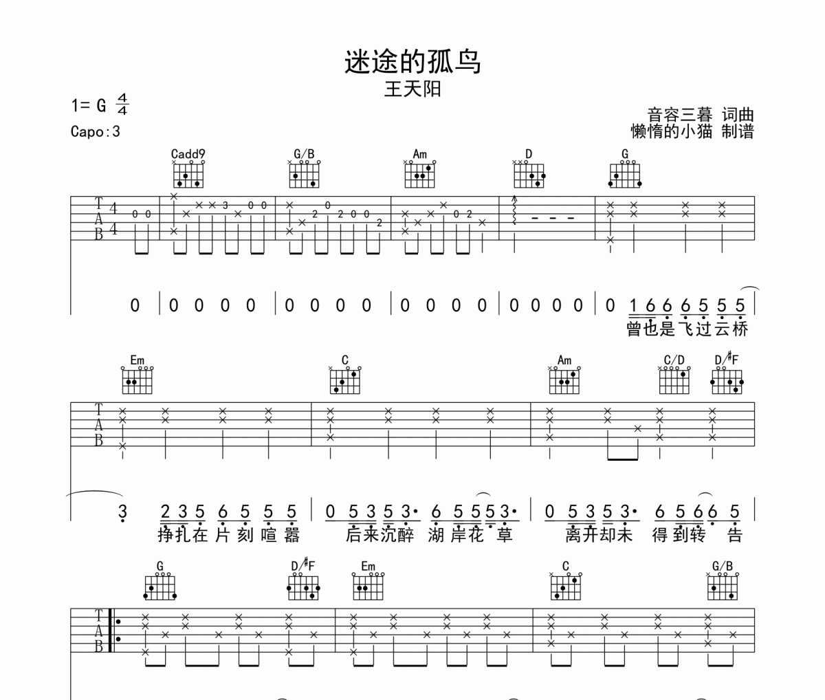 迷途的孤鸟吉他谱 王天阳-迷途的孤鸟六线谱G调