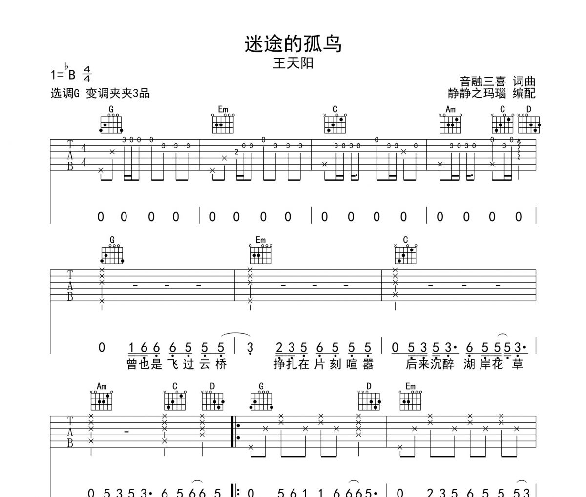 迷途的孤鸟吉他谱 王天阳-迷途的孤鸟G调六线谱