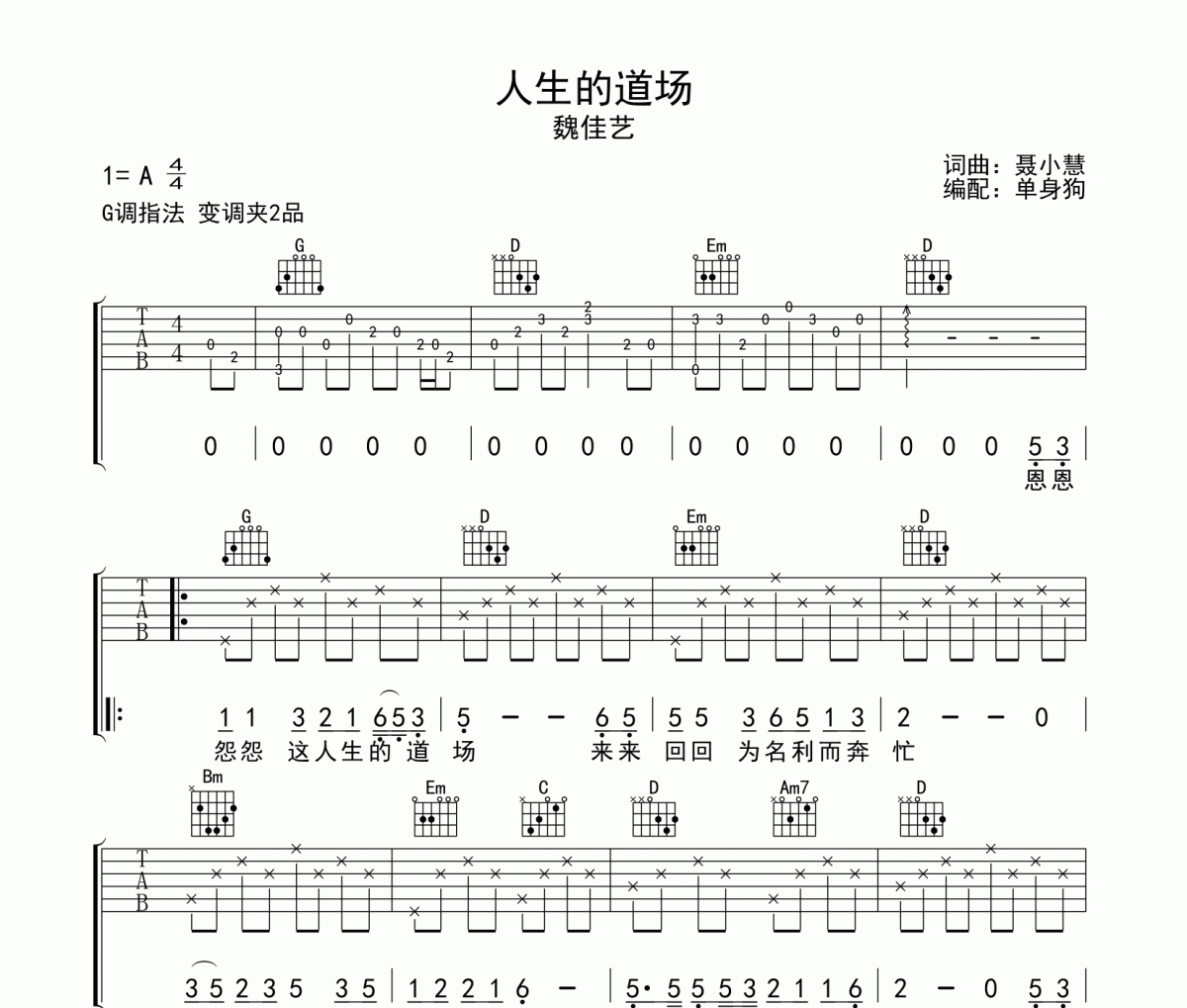 人生的道场吉他谱 魏佳艺 人生的道场G调弹唱谱