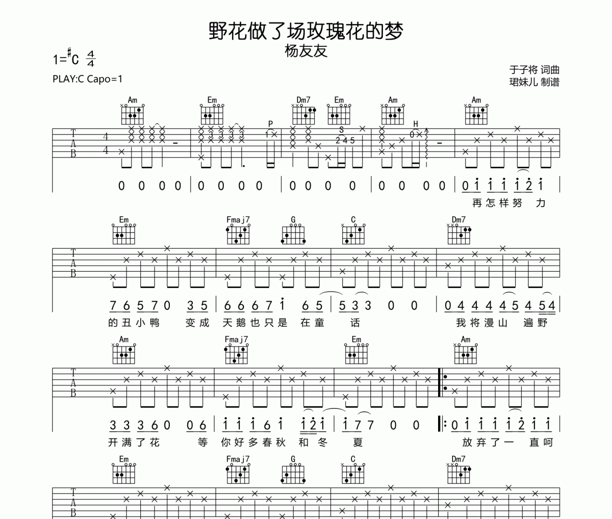 野花做了场玫瑰花的梦吉他谱 杨友友《野花做了场玫瑰花的梦》六线谱|吉他谱