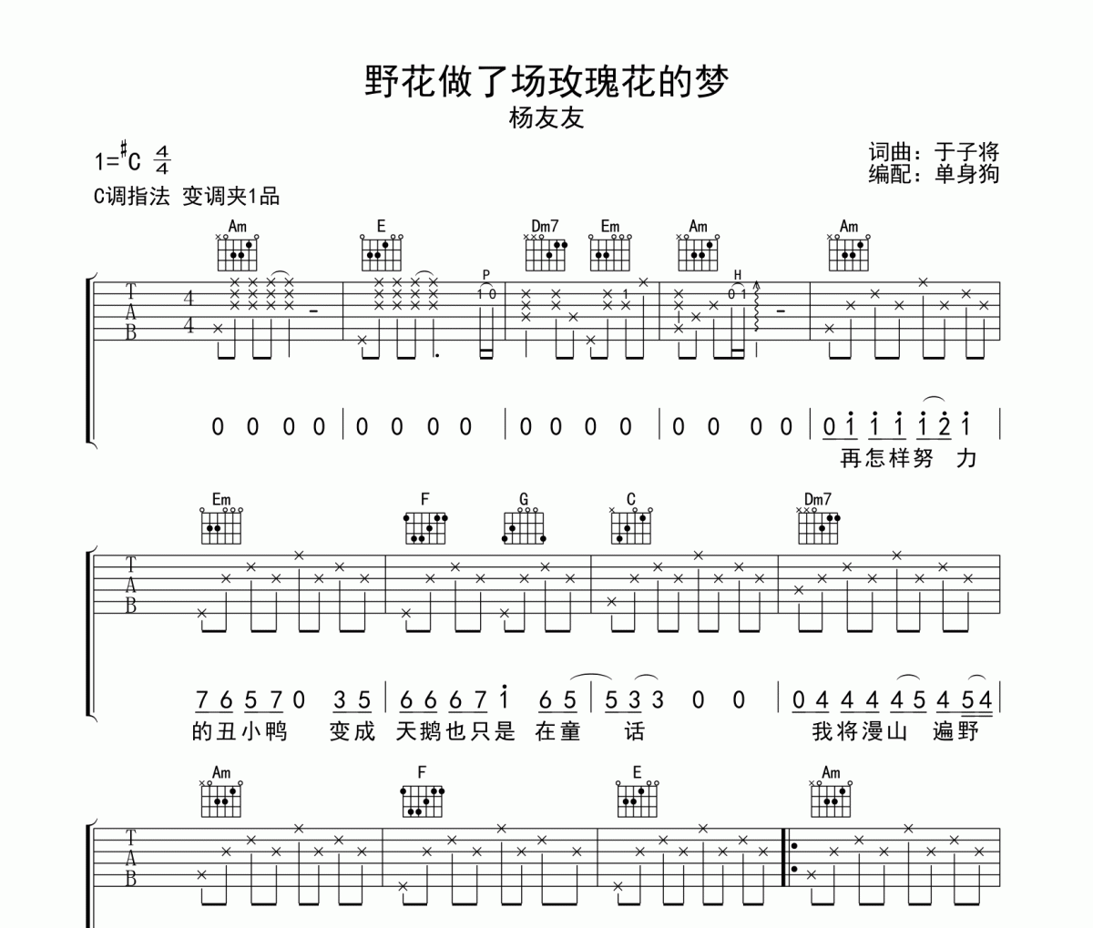 野花做了场玫瑰花的梦吉他谱 杨友友《野花做了场玫瑰花的梦》C调弹唱谱