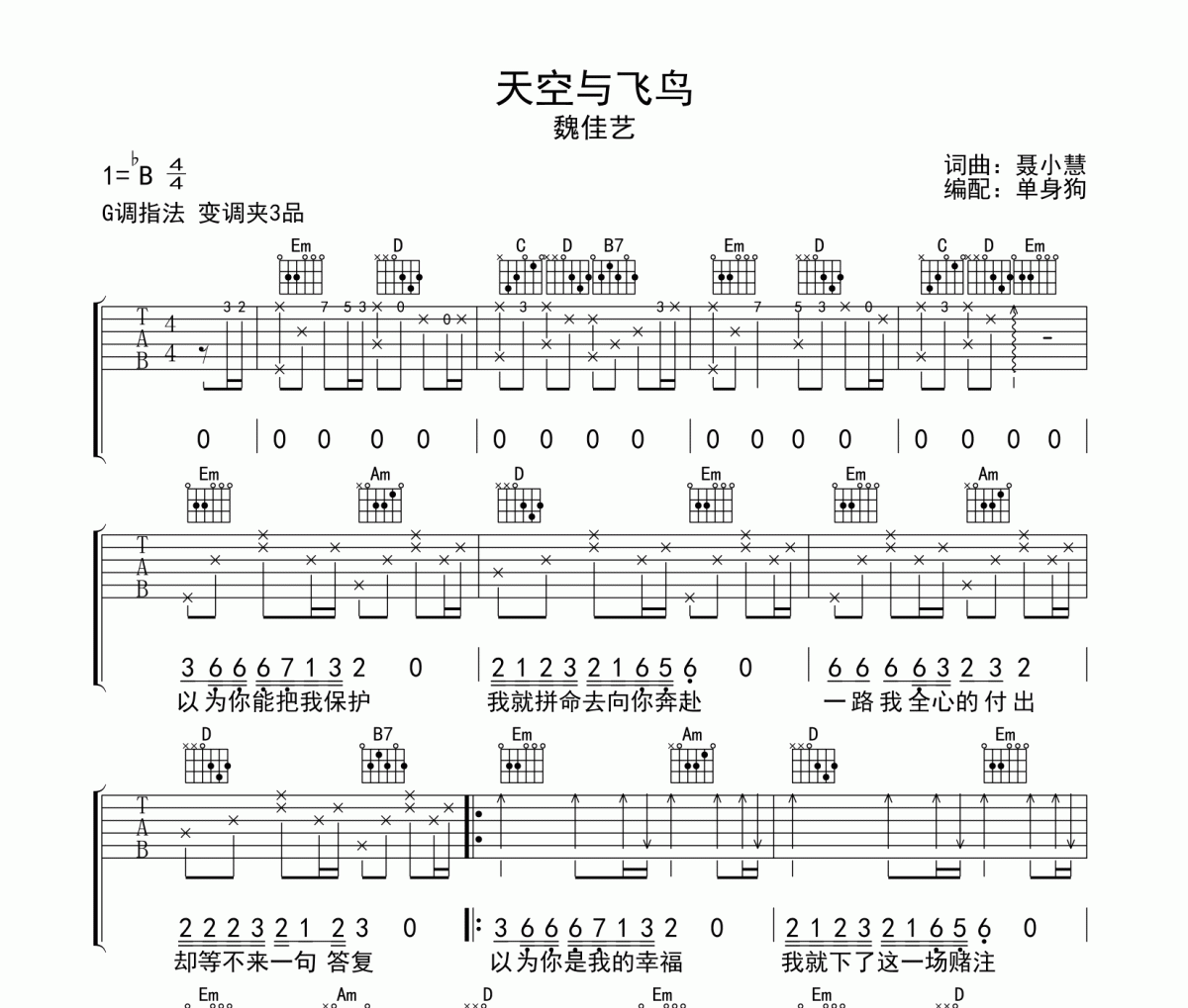 天空与飞鸟吉他谱 魏佳艺 《天空与飞鸟》G调弹唱谱