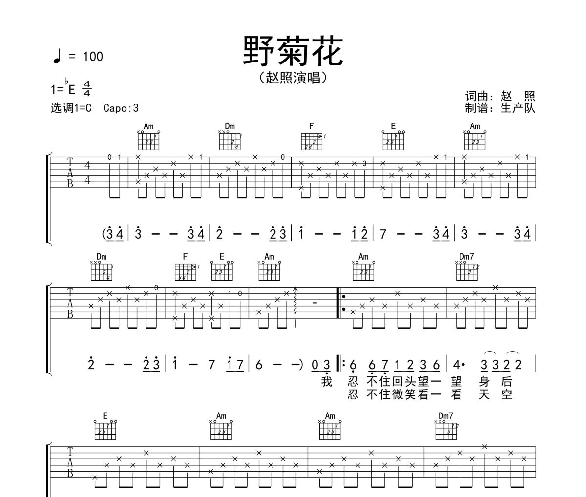 野菊花吉他谱 赵照《野菊花》六线谱|吉他谱