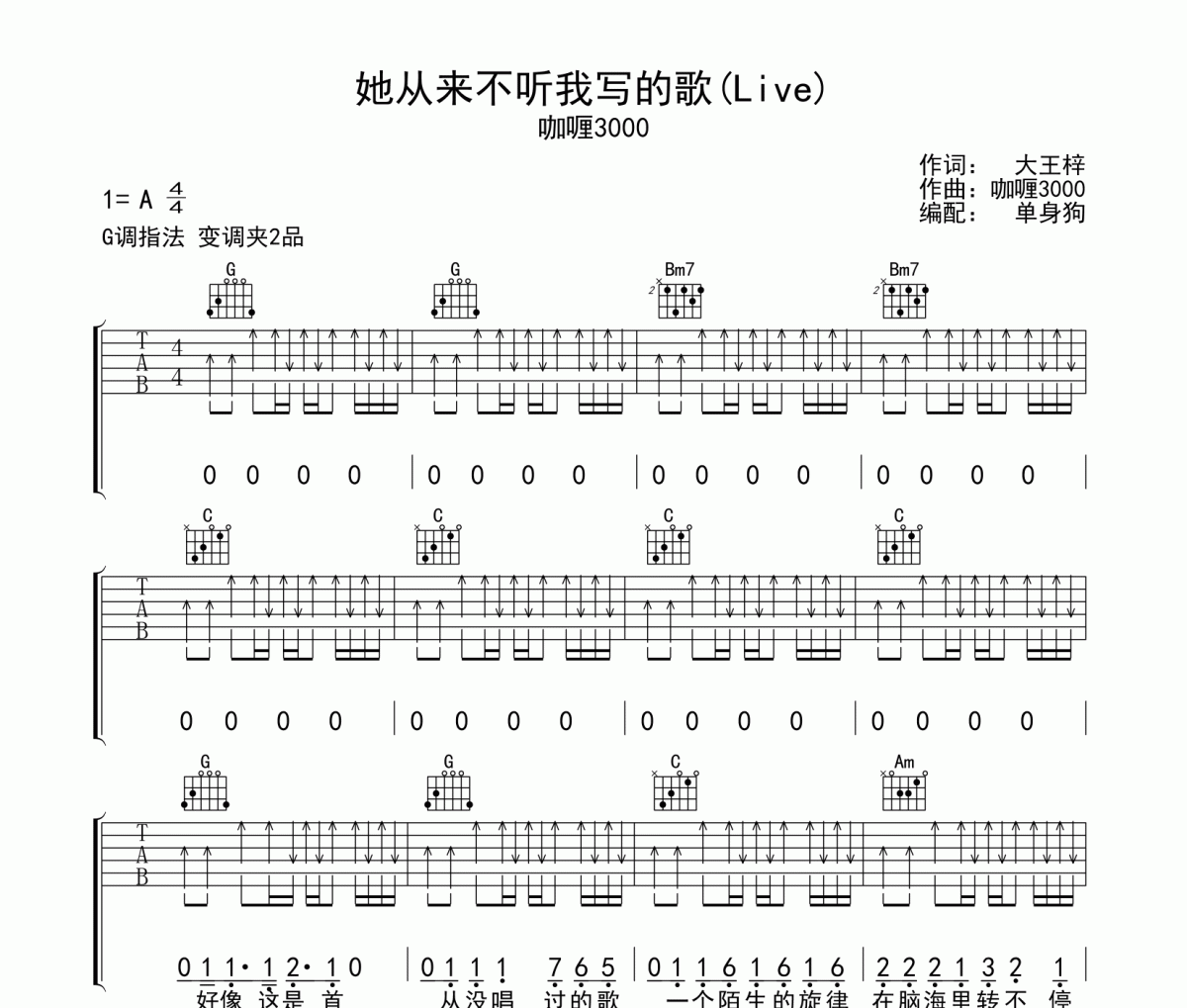 咖喱30000-她从来不听我写的歌G调吉他谱六线谱