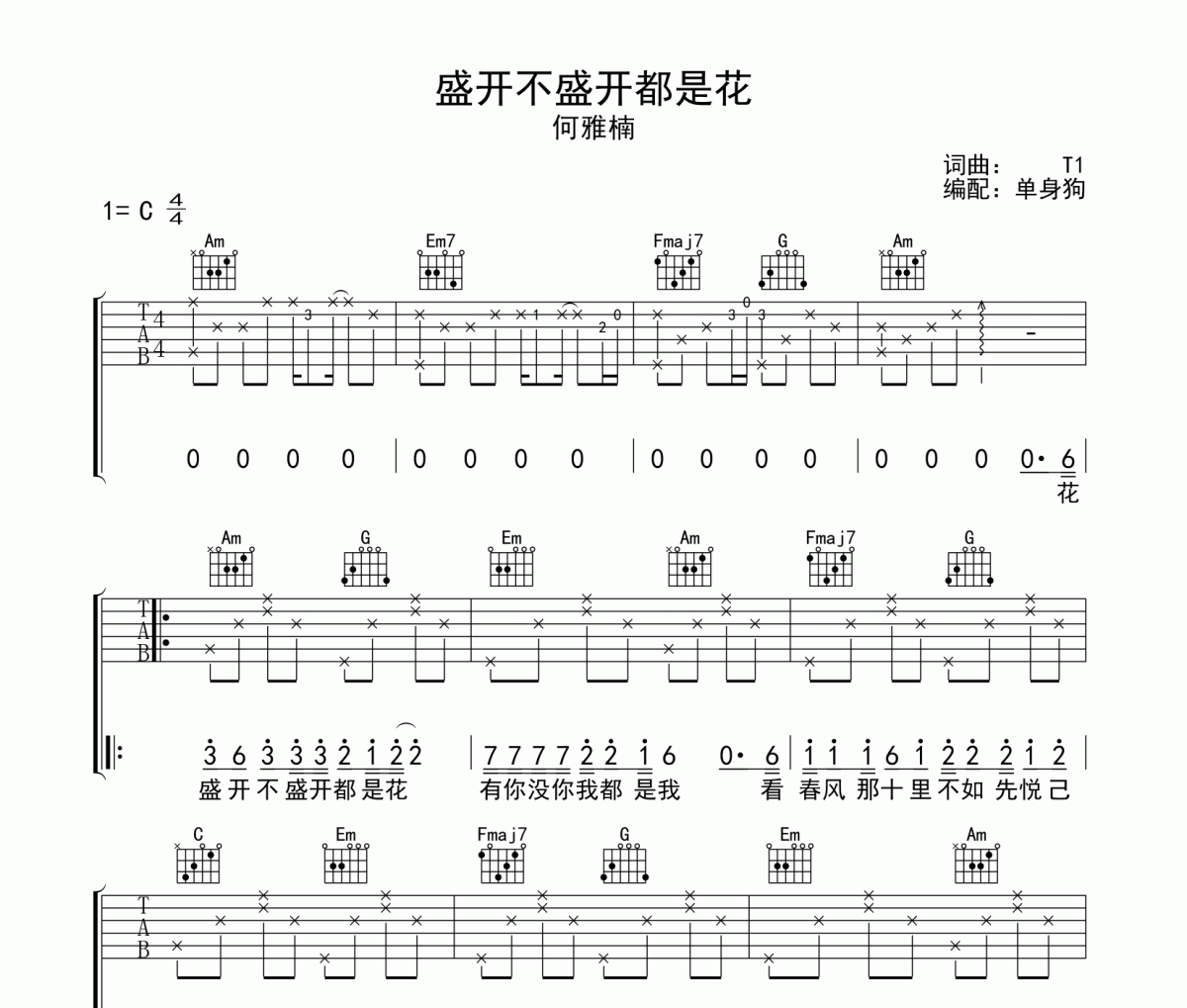 盛不盛开都是花吉他谱 何雅楠-盛不盛开都是花C调六线谱