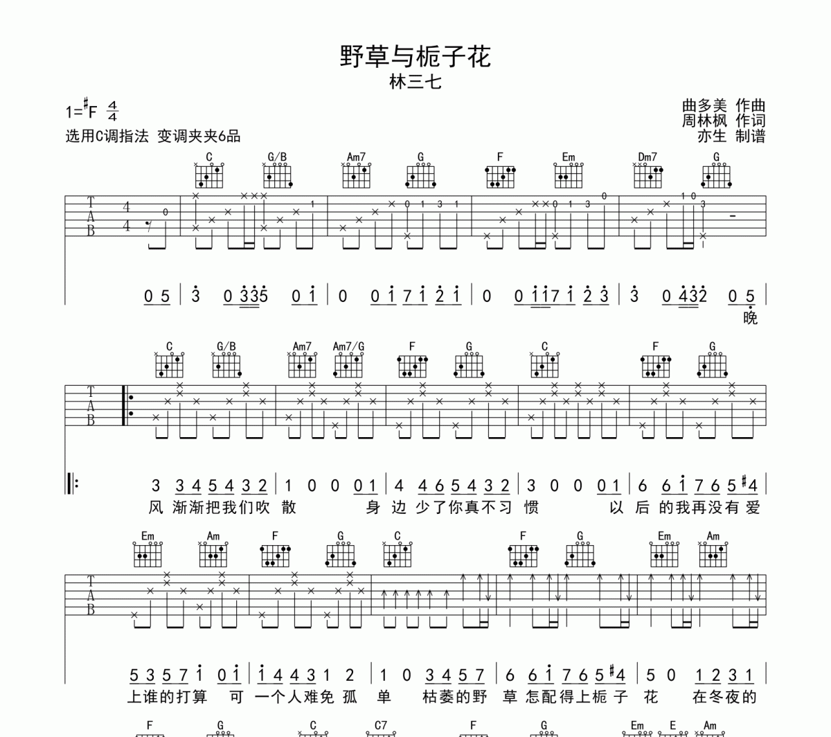 野草与栀子花吉他谱 林三七-野草与栀子花六线谱C调