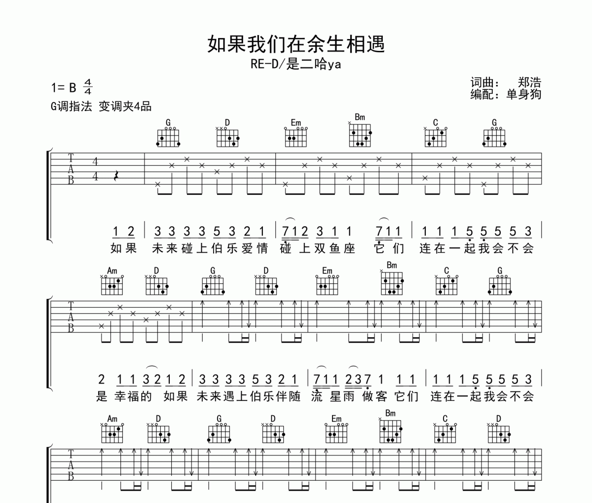 如果我们在余生相遇吉他谱 RE-D/是二哈ya《如果我们在余生相遇G调六线谱