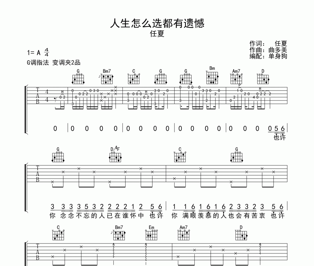 人生怎么选都有遗憾 吉他谱 任夏《人生怎么选都有遗憾 》六线谱G调吉他谱