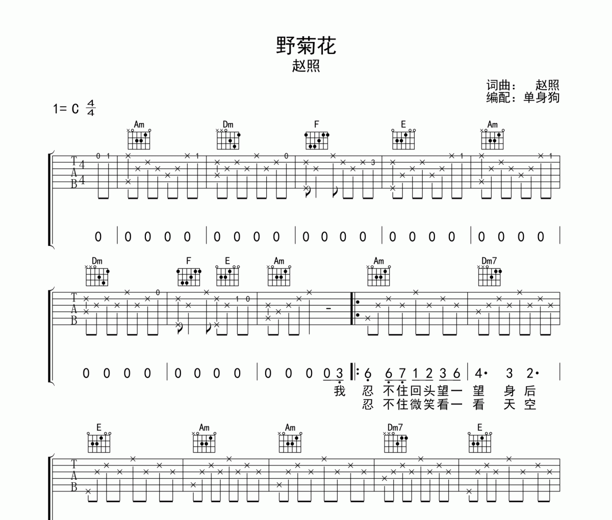 野菊花吉他谱 赵照-野菊花六线谱