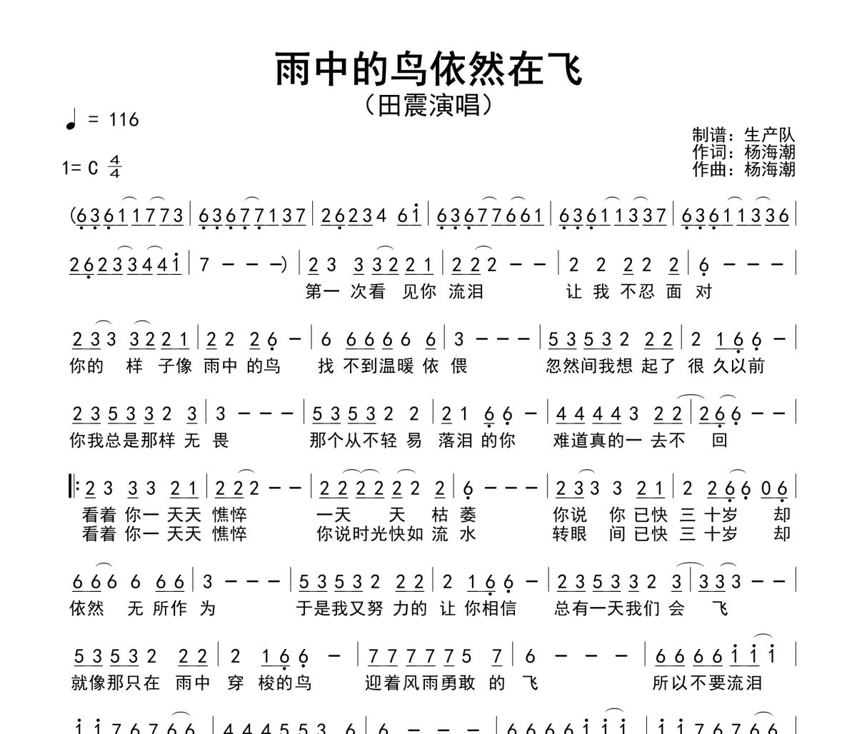 雨中的鸟依然在飞简谱 田震《雨中的鸟依然在飞》简谱C调