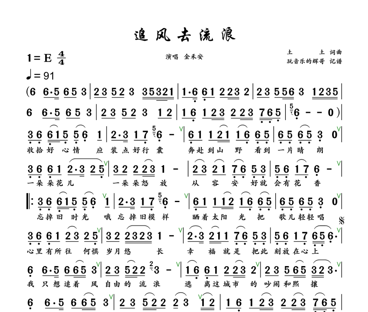 追风去流浪简谱 金禾安《追风去流浪》简谱+动态视频E调