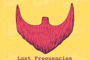 吉他谱《reality》Lost Frequencies