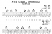 万能青年旅店-杀死那个石家庄人吉他谱弹唱(简单扫弦版)  