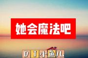 DJ小鱼儿-她会魔法吧简谱A调