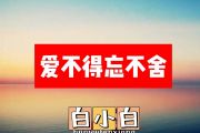 白小白-爱不得忘不舍简谱#C调