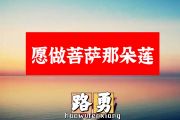 路勇-愿做菩萨那朵莲简谱A调