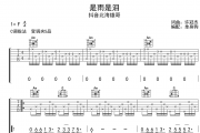 是雨是泪吉他谱 抖音北海雄哥-是雨是泪弹唱谱