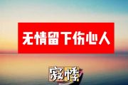 寂悸-无情留下伤心人简谱F调