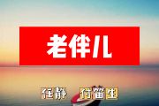 老伴儿简谱 任静 付笛生《老伴儿》简谱+动态简谱视频