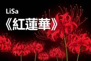 紅蓮華贝斯谱 LiSA《红莲华》贝司BASS谱