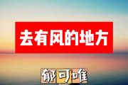 去有风的地方简谱 郁可唯《去有风的地方》简谱+动态视频