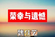 荣幸与遗憾简谱 魏佳艺《荣幸与遗憾》简谱+动态视频