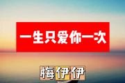 一生只爱你一次简谱 梅伊伊《一生只爱你一次》简谱+动态视频