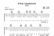 野花做了场玫瑰花的梦吉他谱 杨友友《野花做了场玫瑰花的梦》C调弹唱谱