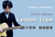 Lemon Tree吉他谱 Fool's Garden《Lemon Tree》G调弹唱谱