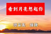 看到月亮想起你简谱 付笛生、任静《看到月亮想起你》简谱+动态视频