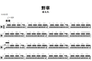 野草鼓谱 椿乐队-野草架子鼓|爵士鼓|鼓谱+动态视频