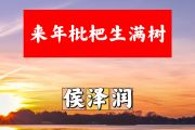 来年枇杷生满树简谱 侯泽润《来年枇杷生满树》简谱+动态视频G调