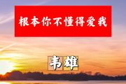 根本你不懂得爱我简谱 韦雄《根本你不懂得爱我》简谱+动态视频降E调