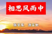 相思风雨中简谱 张学友、汤宝如《相思风雨中》简谱+动态视频