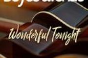 Wonderful Tonight简谱 Boyce Avenue《Wonderful Tonight》简谱G调