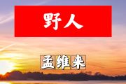 野人简谱 孟维来《野人》简谱+动态视频D调